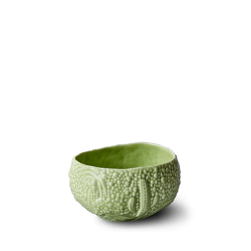 Haas Mojave Desert Bowl - Matcha