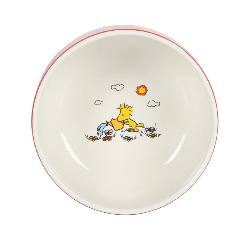 Peanuts Snoopy 4 Pack Stackable 5.5" Decorate Stoneware Bowl Set