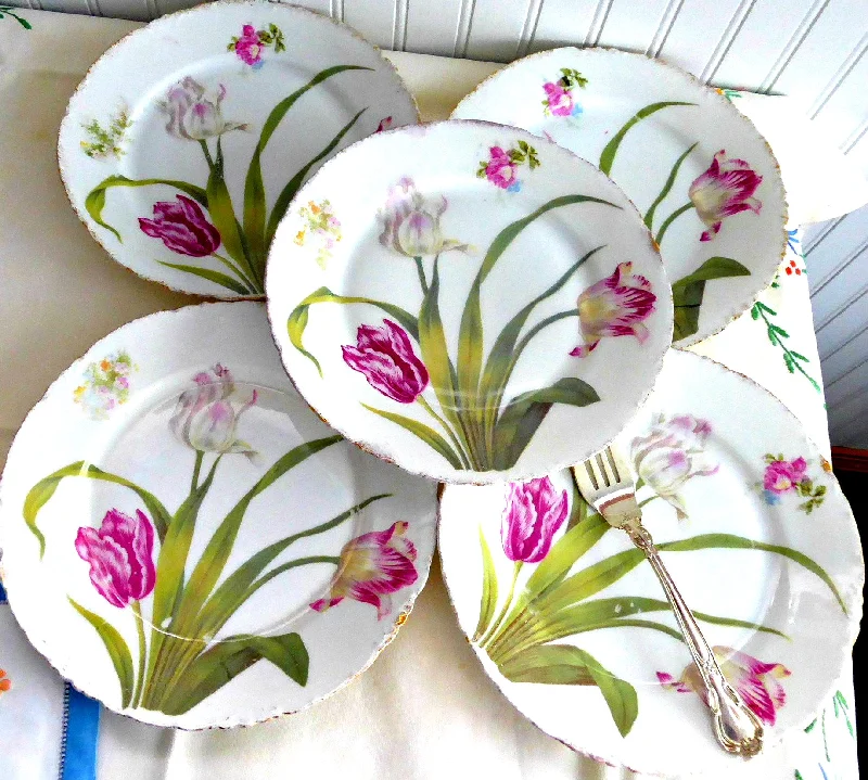 Rosenthal Versailles 5 Salad Plates Edwardian Botanlical Plates 1910s Victorian