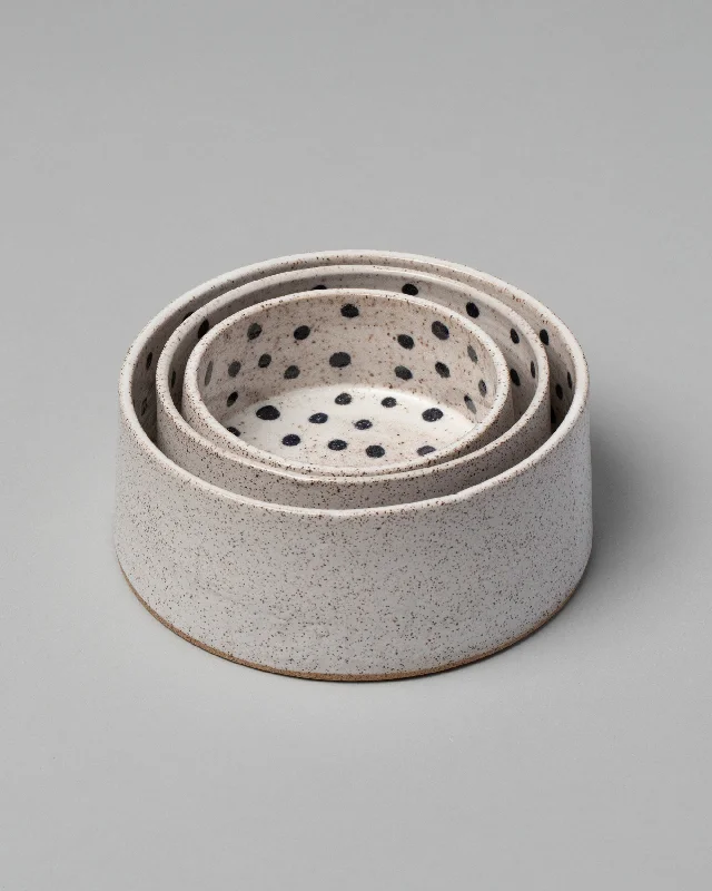 Dog Bowl