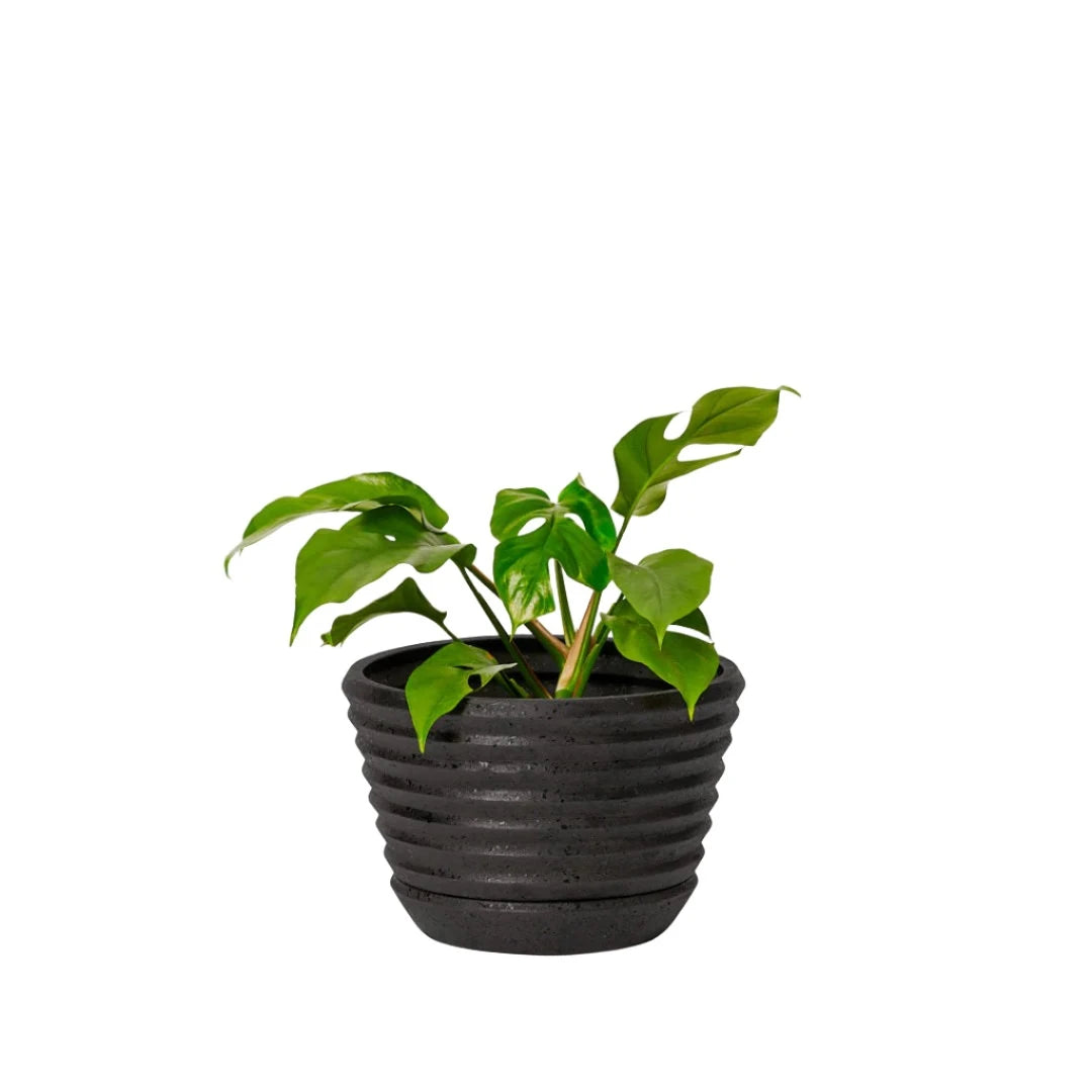 Racine Planter